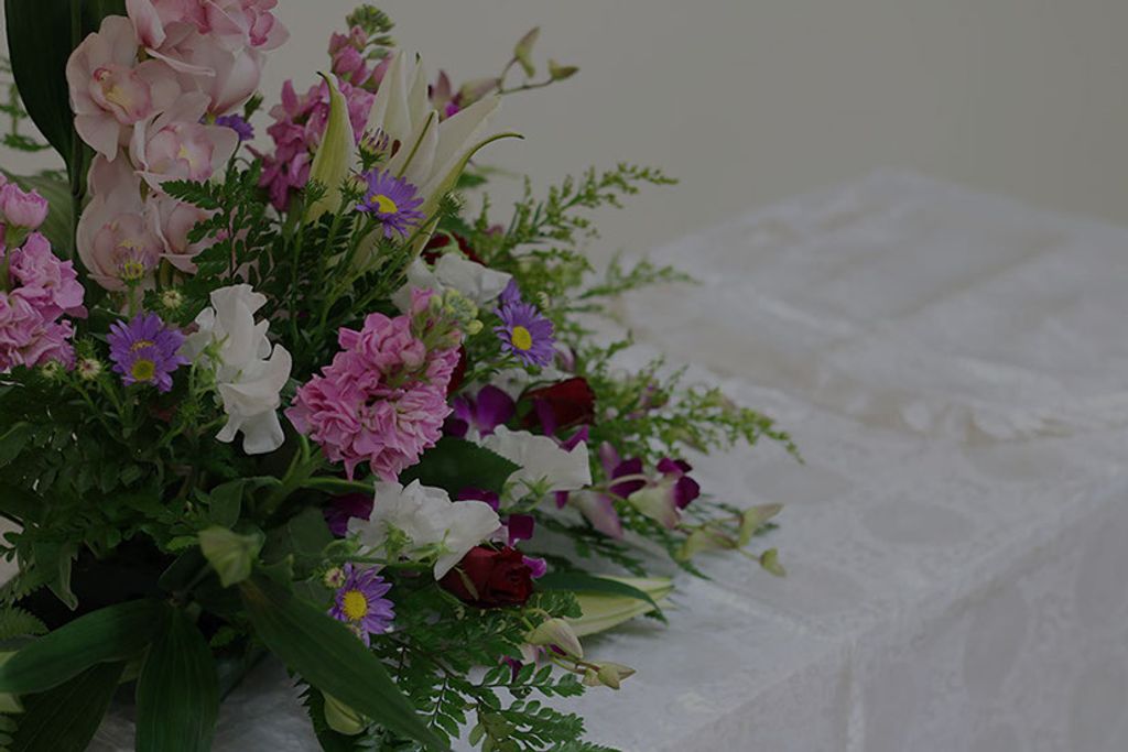 Alice Shirrell Hagy Profile Photo