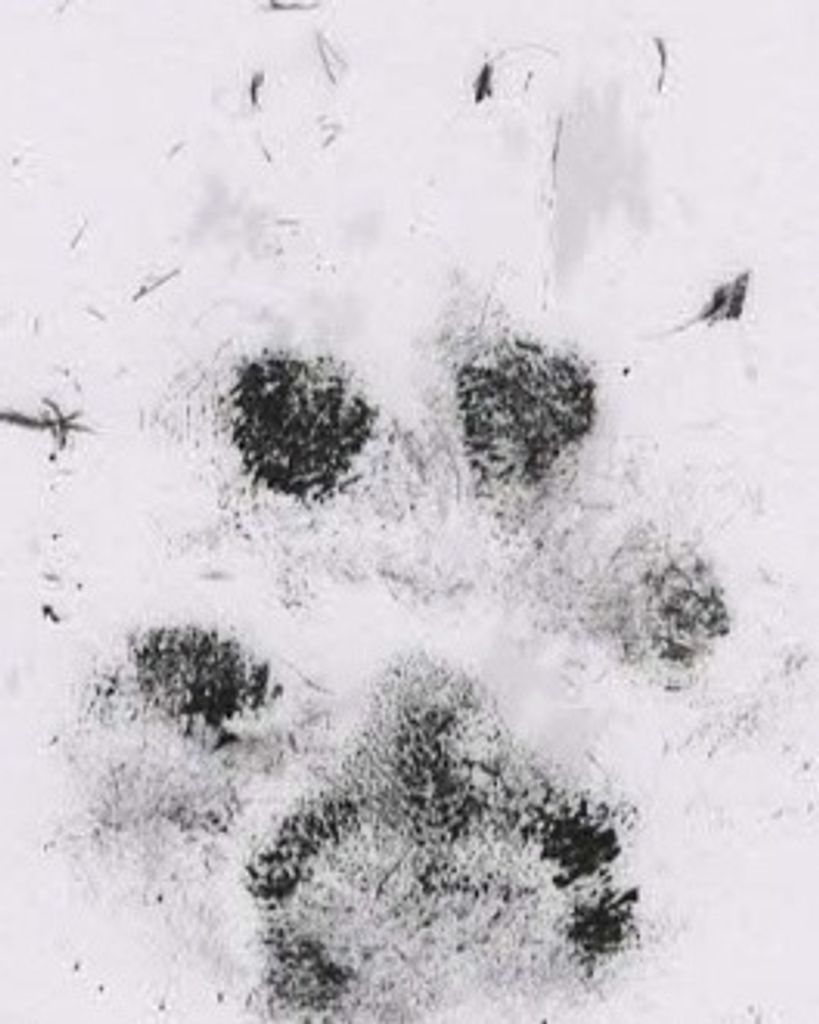 Sadie Anderson Profile Photo