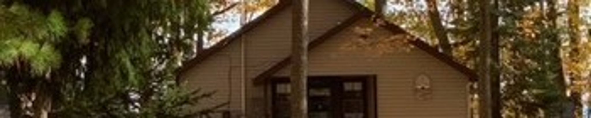 Cover for Joan Kathryn (Thomas) Bauman's Obituary