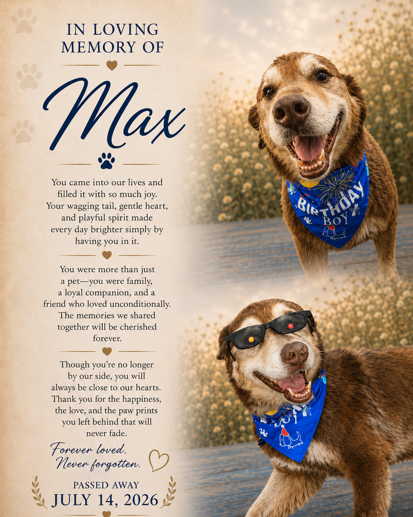 Max Profile Photo