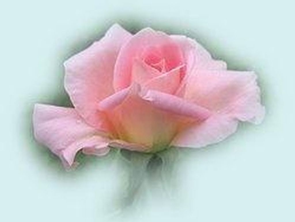 Elizabeth "Lisa" Glanzer