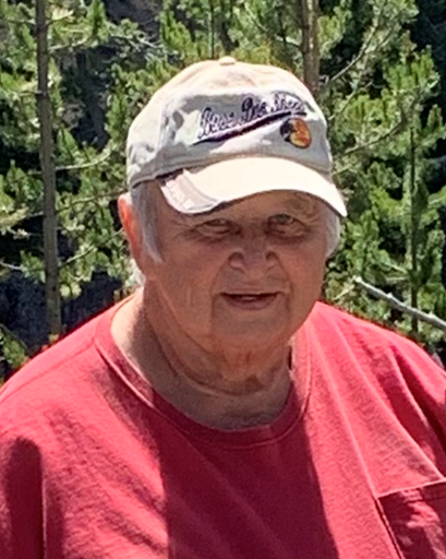 Ronald Gensburg's obituary image