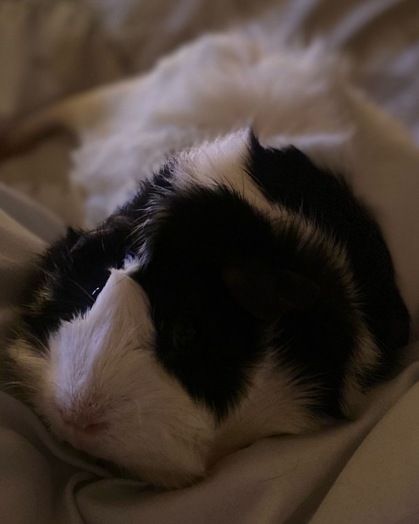Pepper Jean Profile Photo