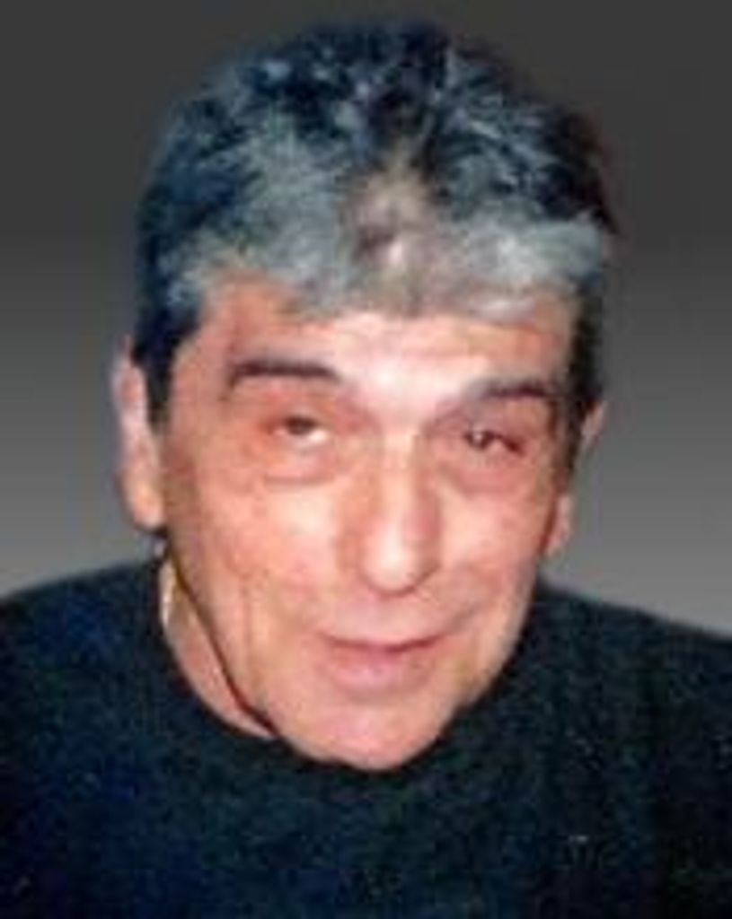 Michael J. Palmesino