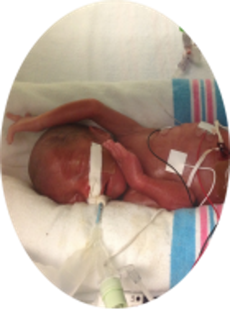 Baby Jameson Daniel Rowe