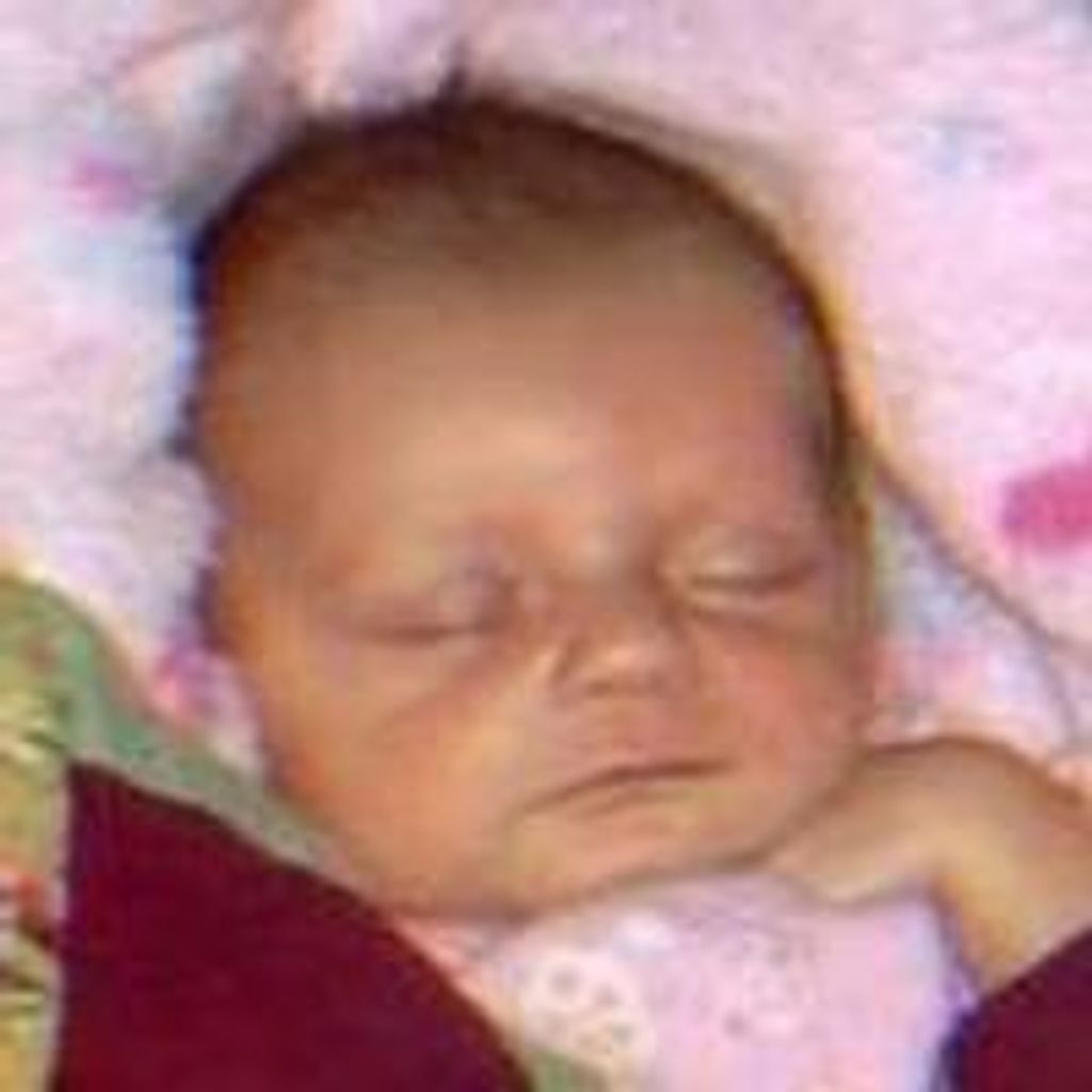 Lily  Christina Hoff
