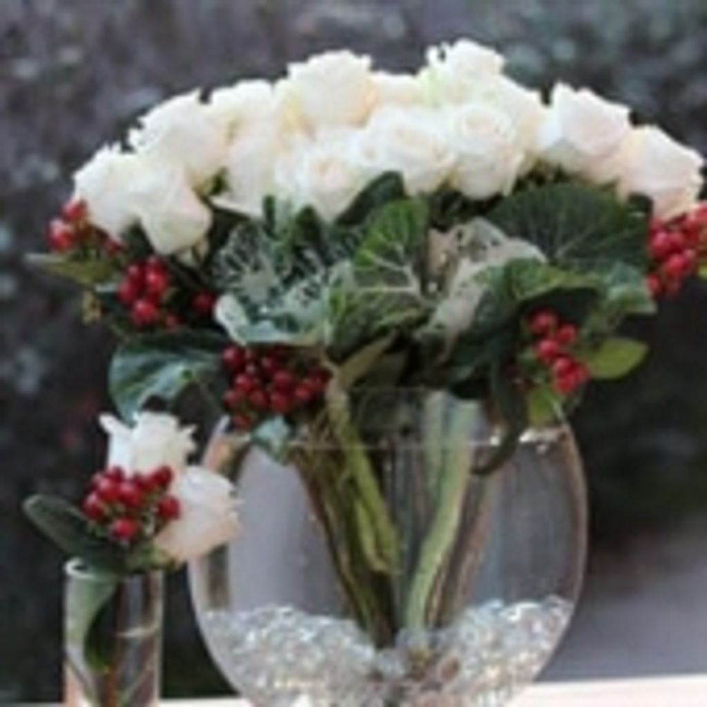 Kathleen Ann O'Brien