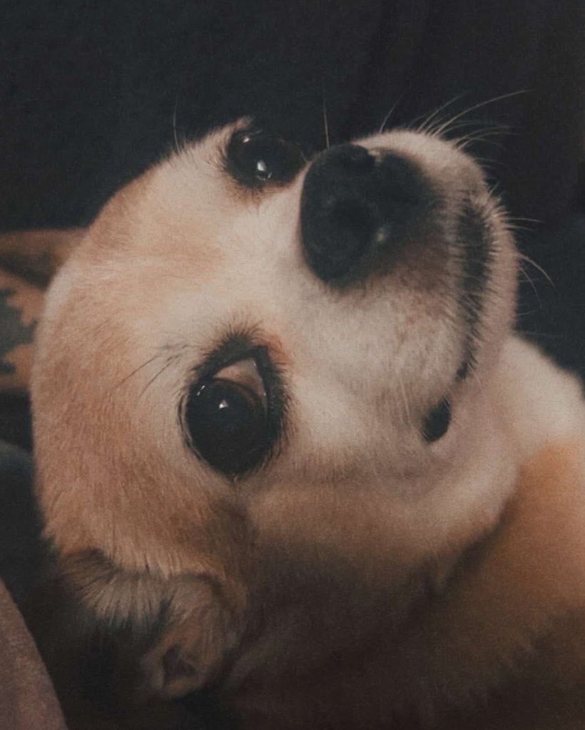 Spencer Reid Murrmann Profile Photo