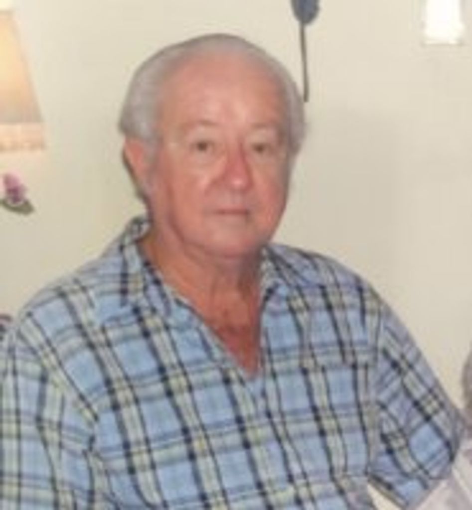 David Webb
