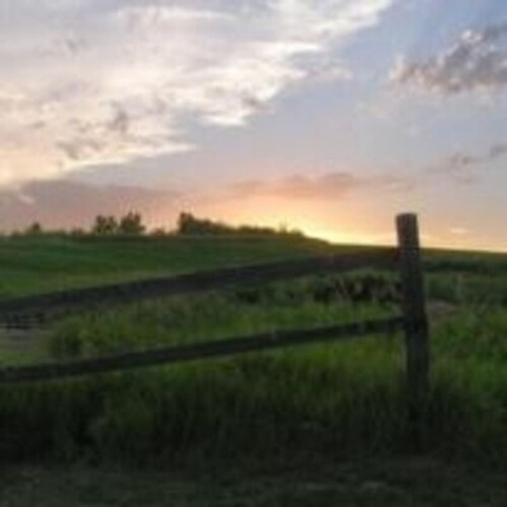 Richard Charles Kotal