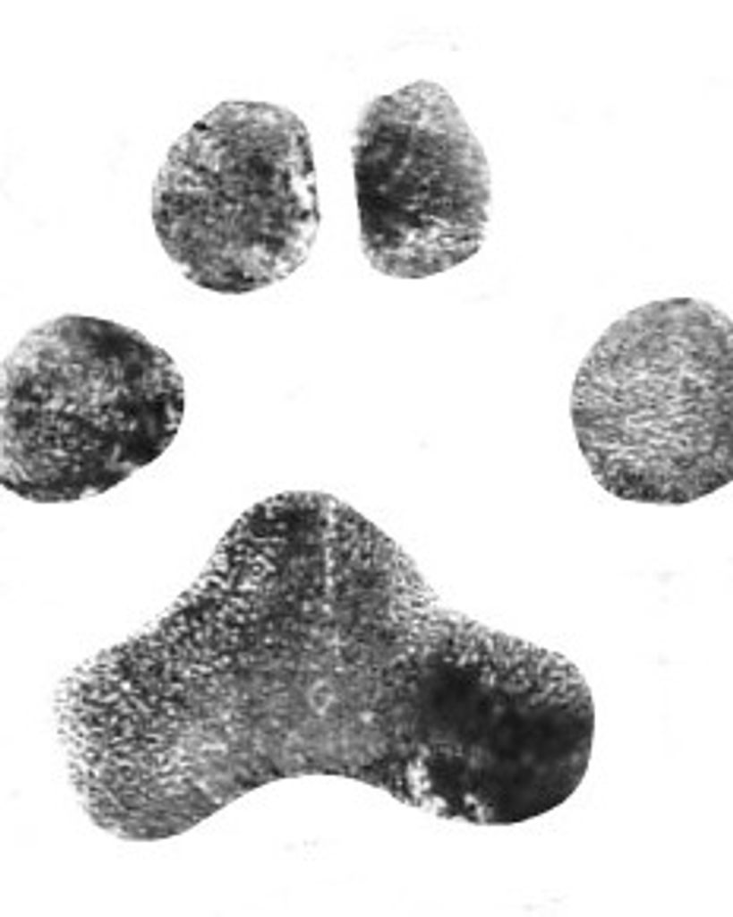 Tiny Blanton Profile Photo