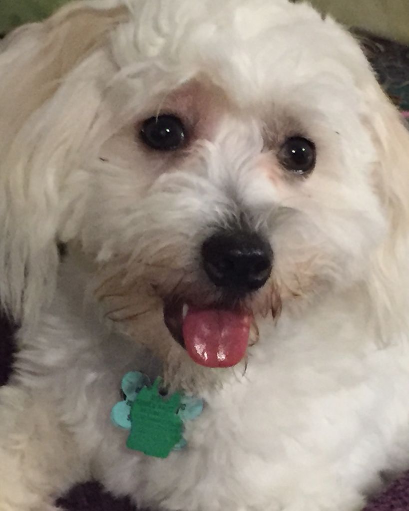 King Newell Profile Photo