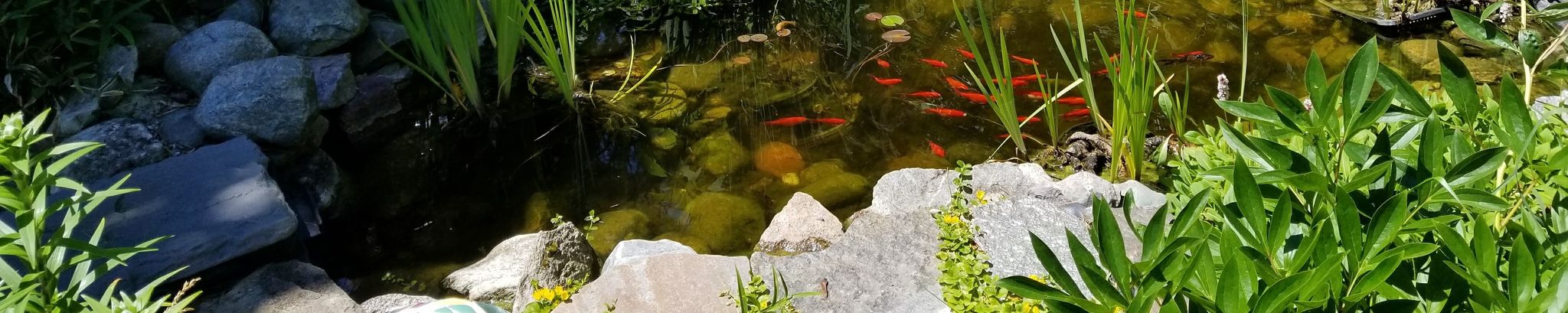 Cover for Scott Harris's Obituary