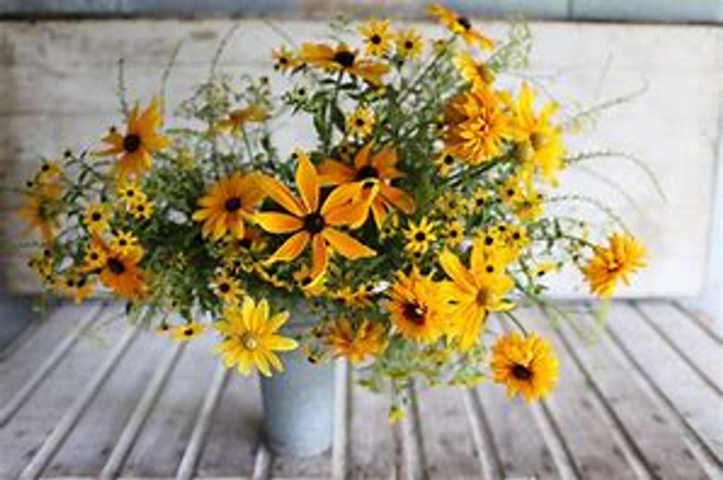 Lola Marlene Brumbaugh