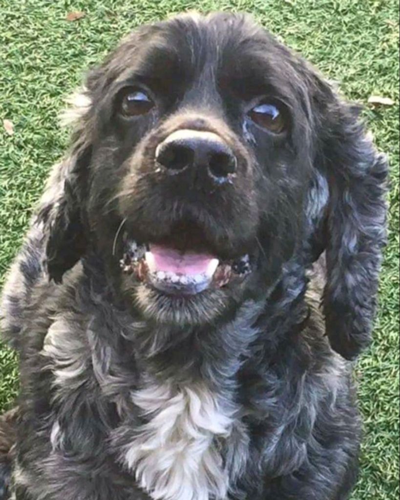 Pepper Provencher Profile Photo