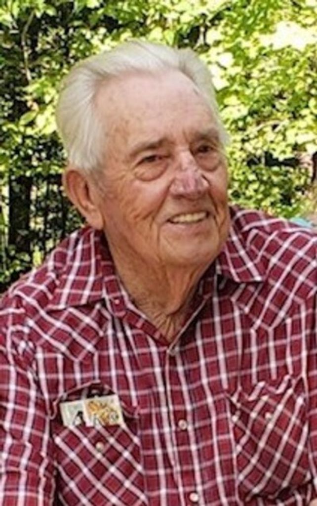 David Beadle Profile Photo