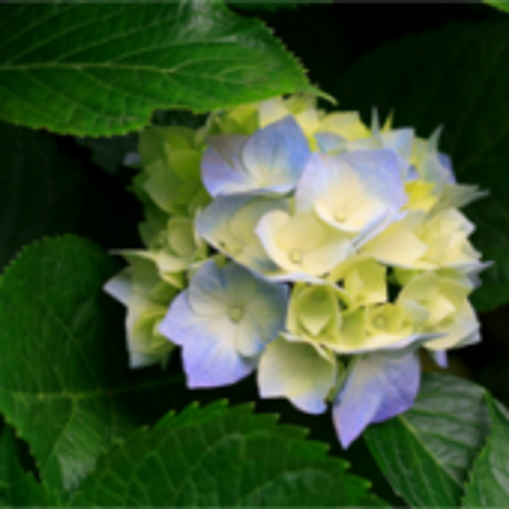 Vivian Latham Mcalister