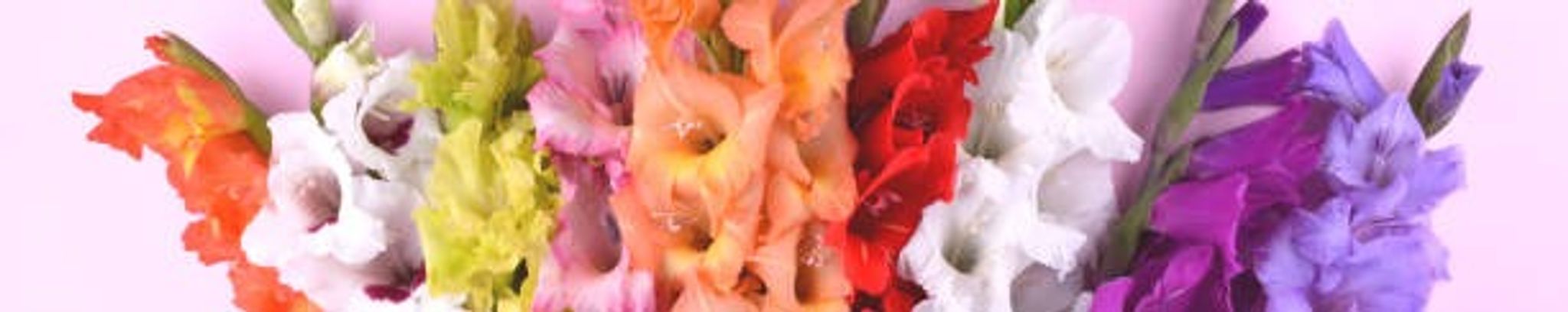 Cover photo for Mary Jane 'Lyla' Thevenot's Obituary