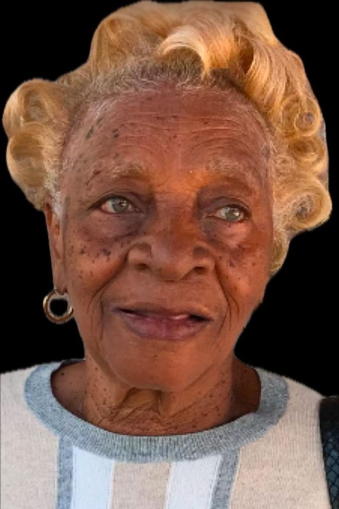 Vivian Lee Williams Profile Photo