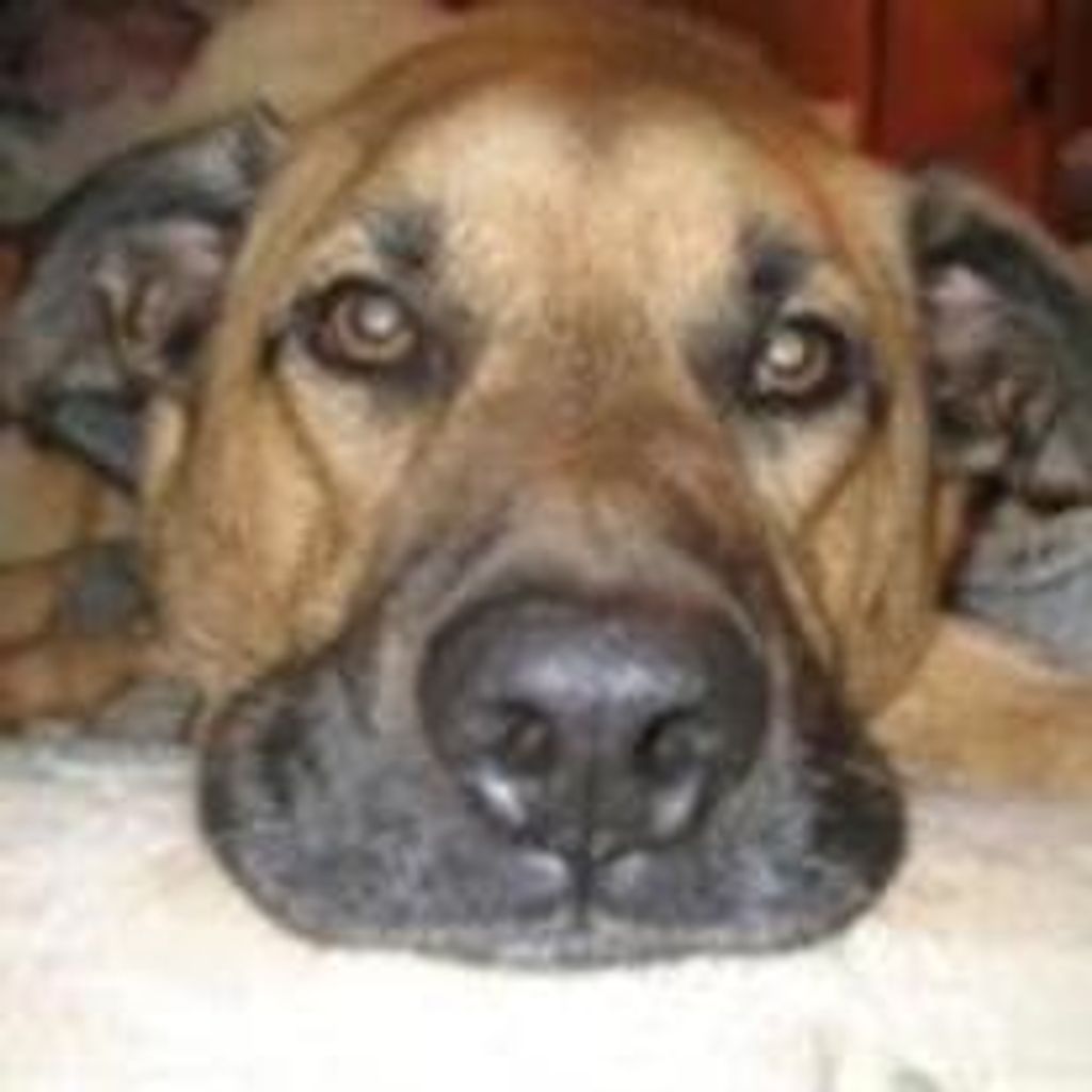 Sampson "Bubba" James Profile Photo
