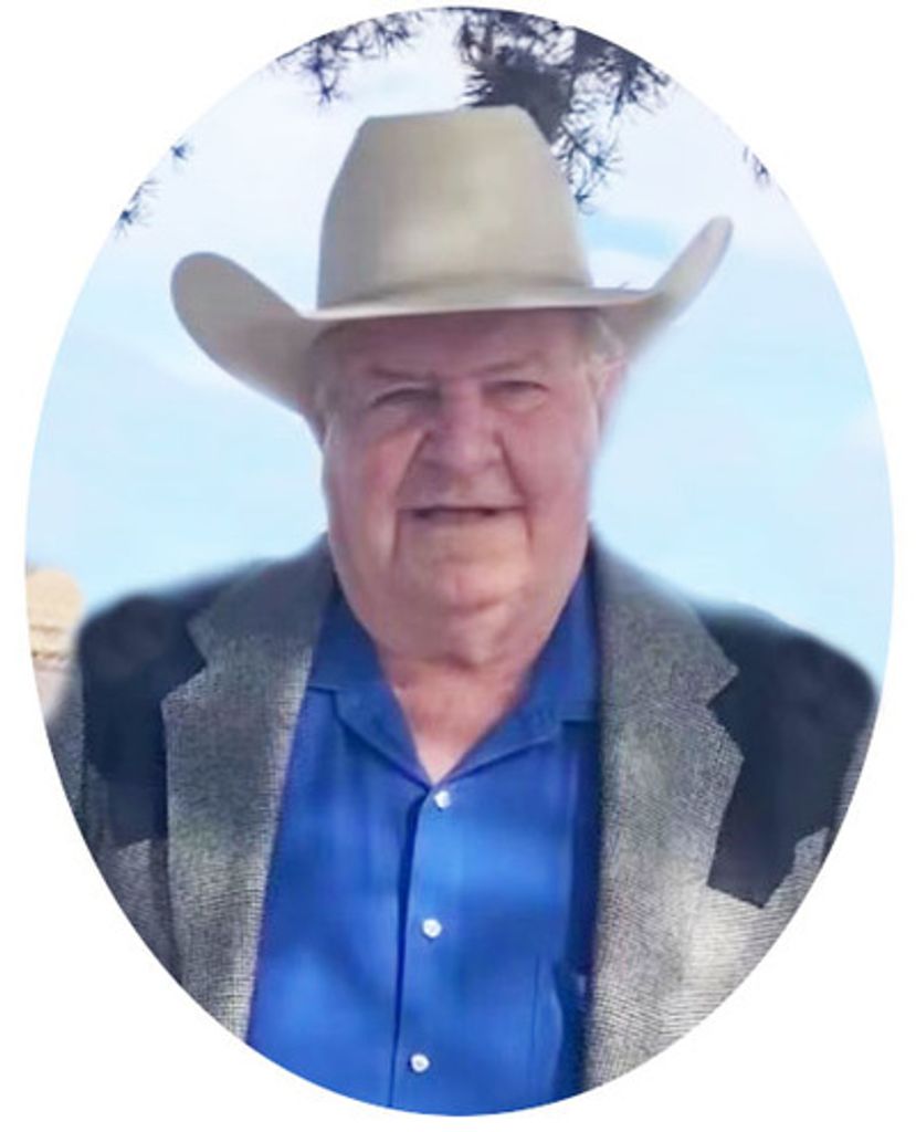 Tommy Clark Kneedler Profile Photo