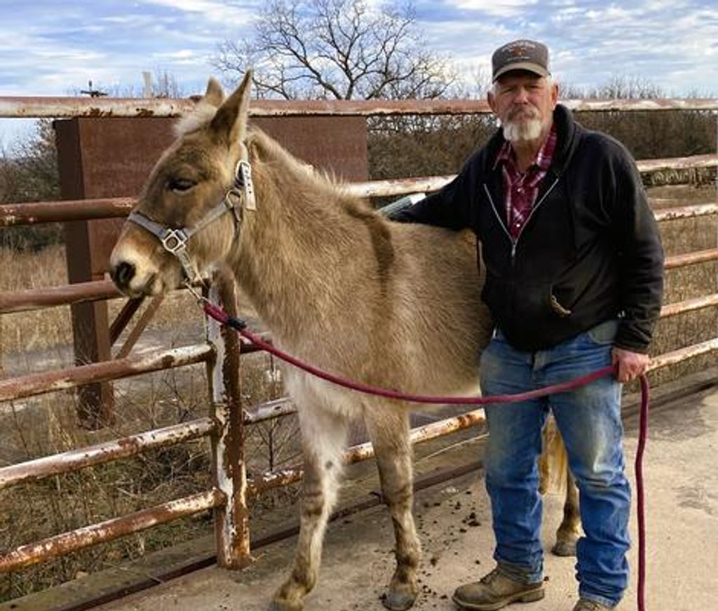 Dennis Paul Alcorn Profile Photo