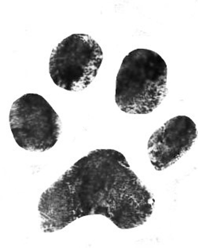 Cleo Medlin Profile Photo