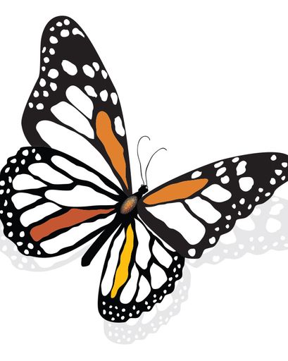 Kathleen M. Hyde's obituary image