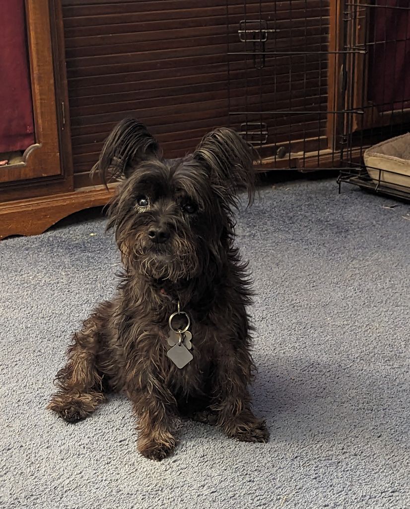 Rowdy Profile Photo