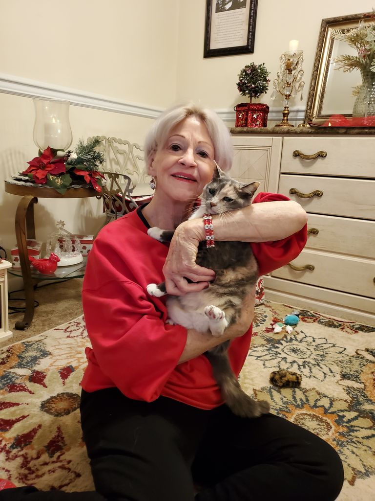 Donna Stringfield Maples of Knoxville, TN Profile Photo