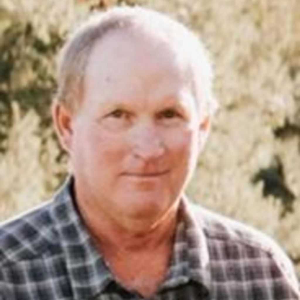 David Lee Batt Profile Photo