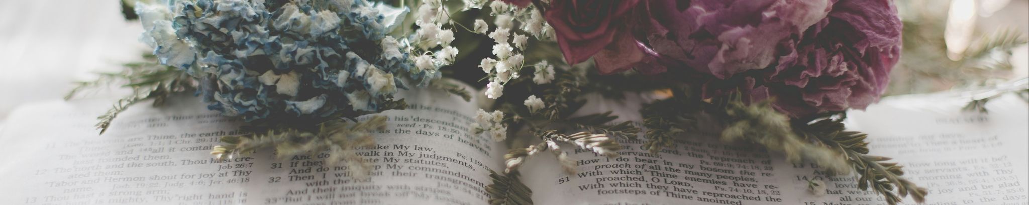 Cover for Barbara Ruth Manthey's Obituary