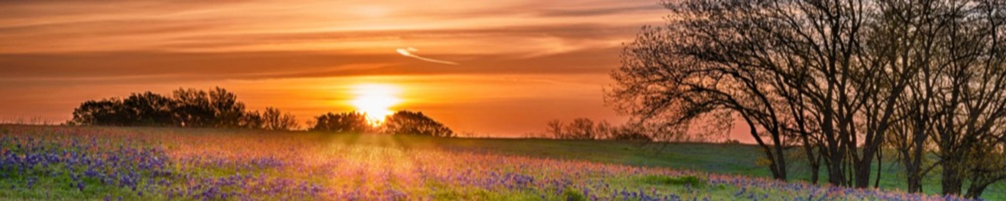 Cover photo for Willie Kankel, Jr.'s Obituary