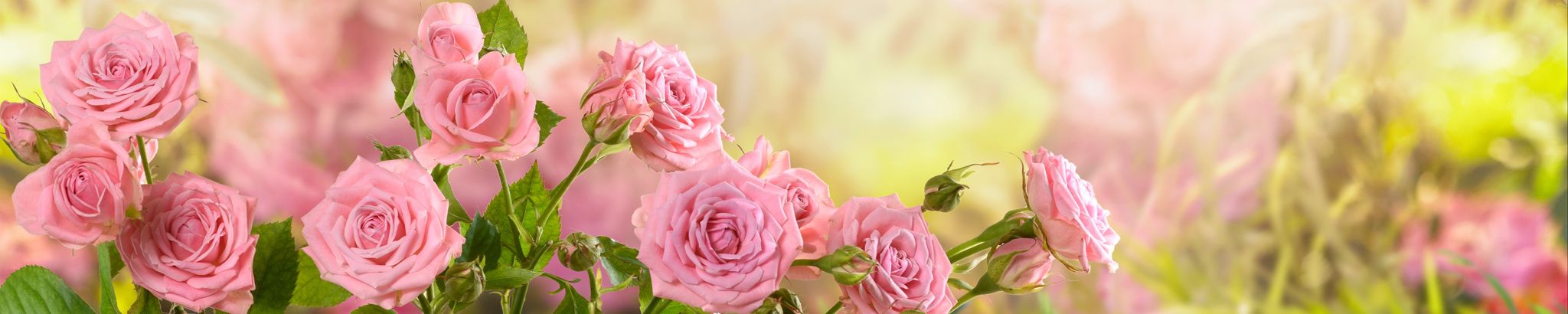 Cover photo for Helen Jones Overton's Obituary