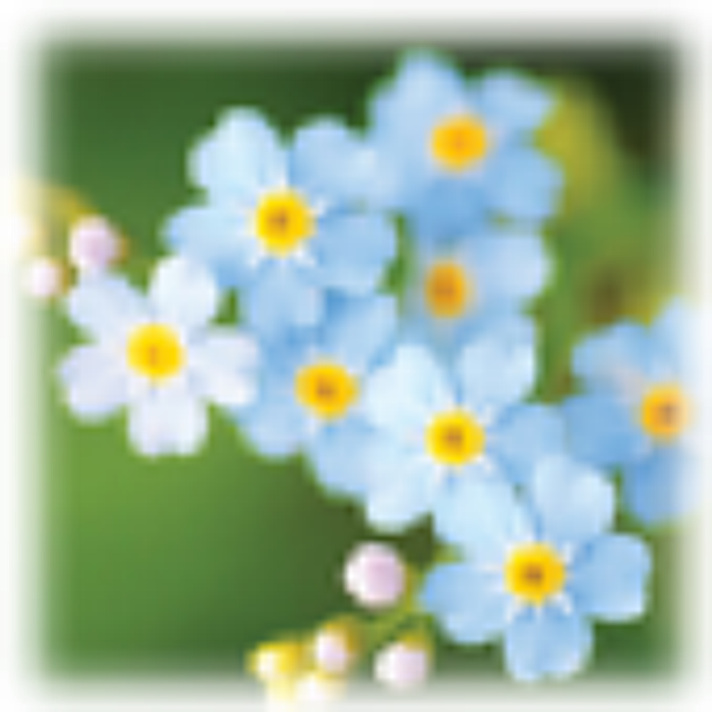 Darlene Frances Martak