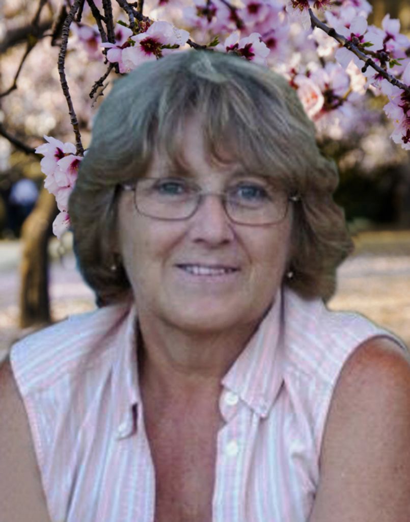 Connie Lee (Jackson)  Blevins