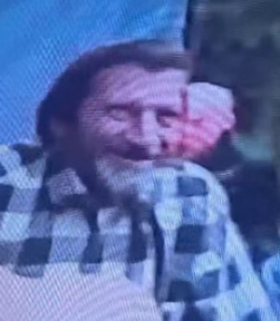 Daniel Moss Profile Photo