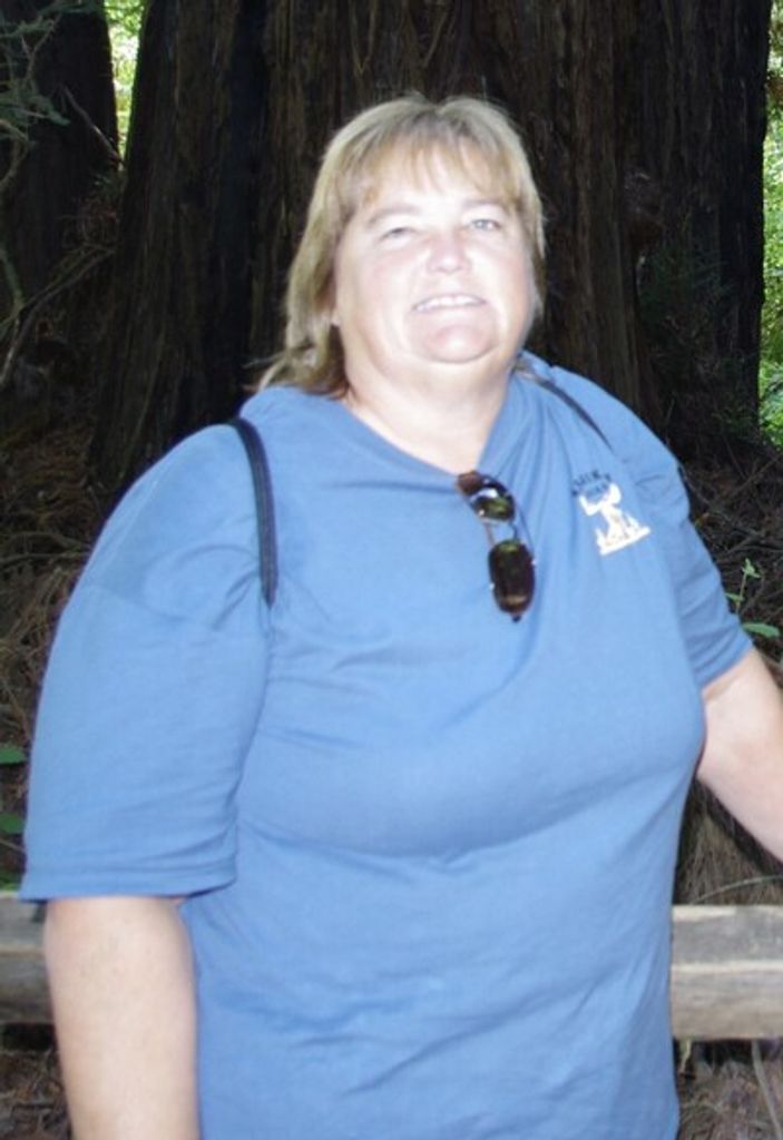 Lynda A. Stein Profile Photo
