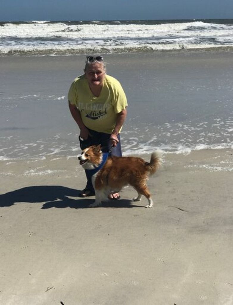 Lori Ann Godshall Profile Photo