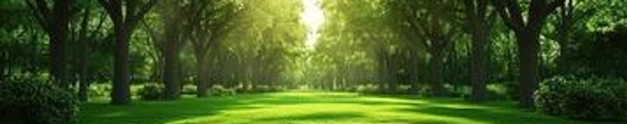 Cover for Russell Tate's Obituary