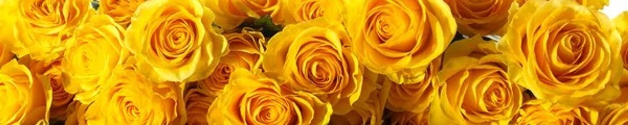 Cover for Emmie Marie Furman's Obituary