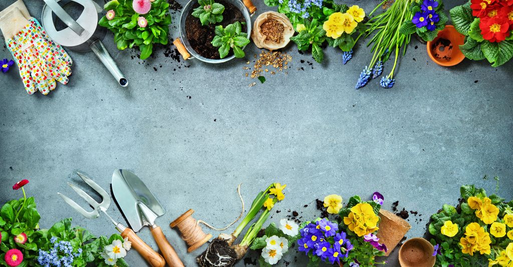 Nurturing Remembrance: Healing through plants & community