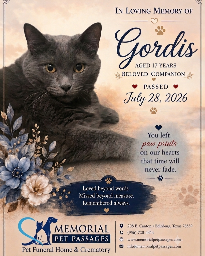 Gordis Profile Photo