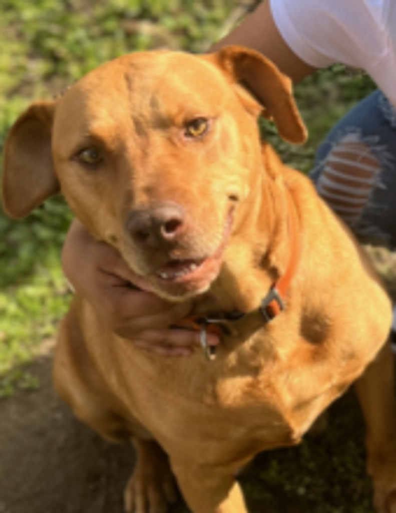 Bobo Kennedy Profile Photo