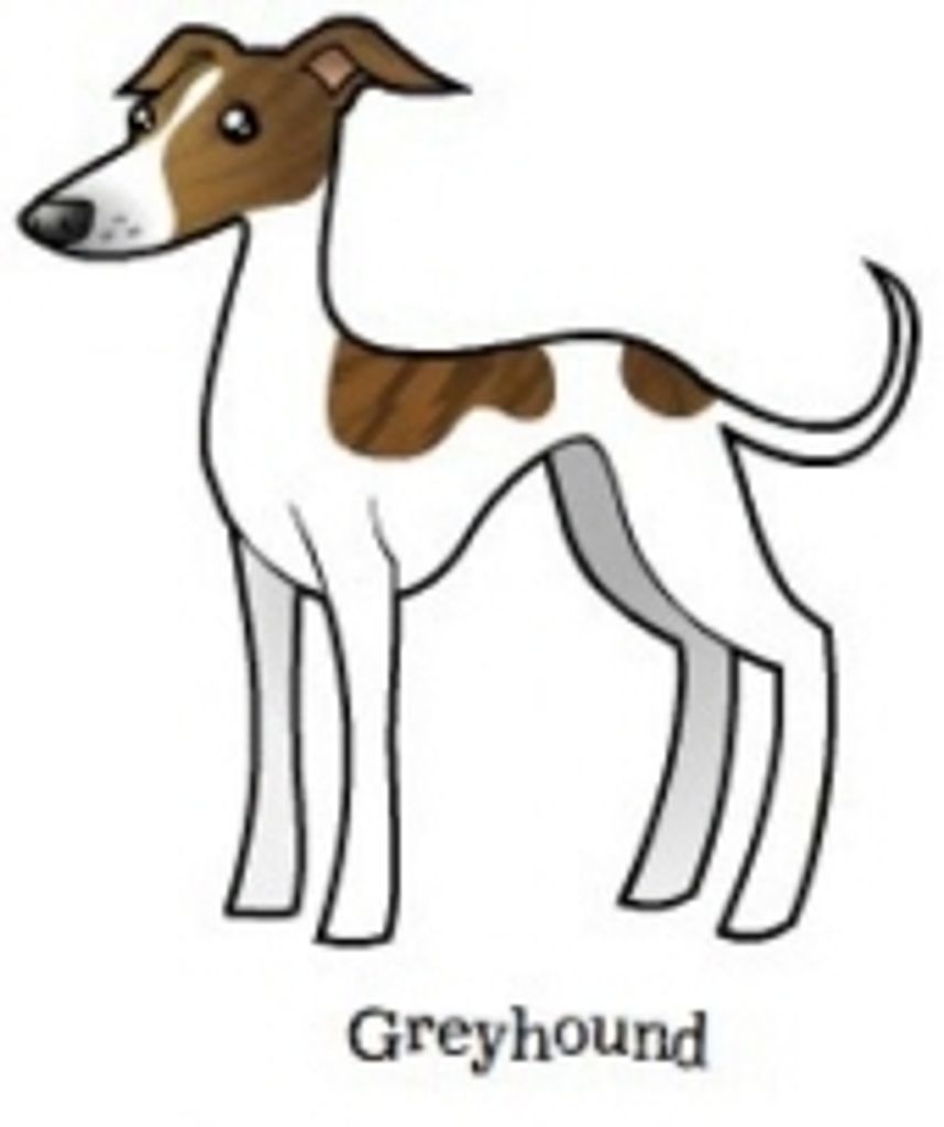 Puddy Cobb Profile Photo