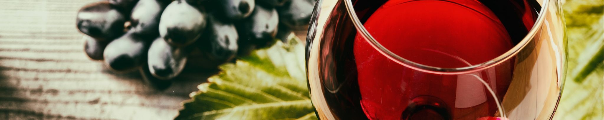 Cover for Antonio Viscardi's Obituary