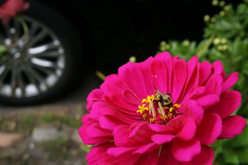 Sandra L. Stowers photo gallery thumbnail 95 of 100