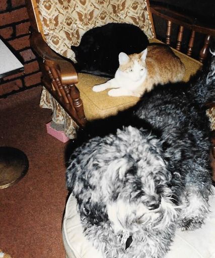 Linda L. Dilling photo gallery thumbnail 24 of 79