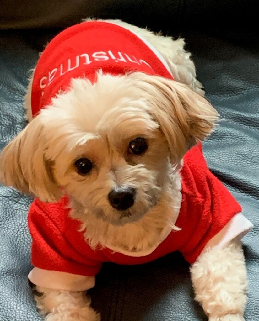 Patricia Ann Stewart