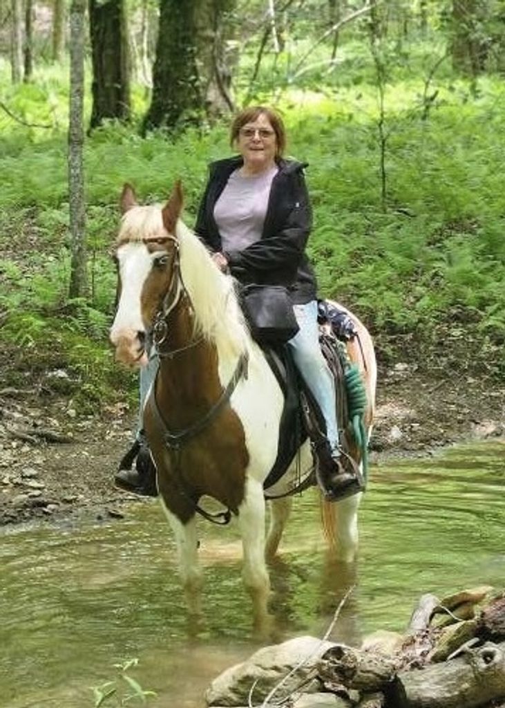 Tammy Daley Profile Photo